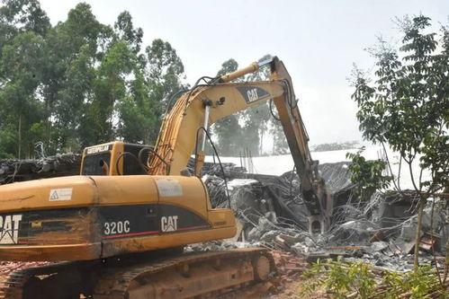 廉江爆料新闻最新,揭秘某重大事件背后真相